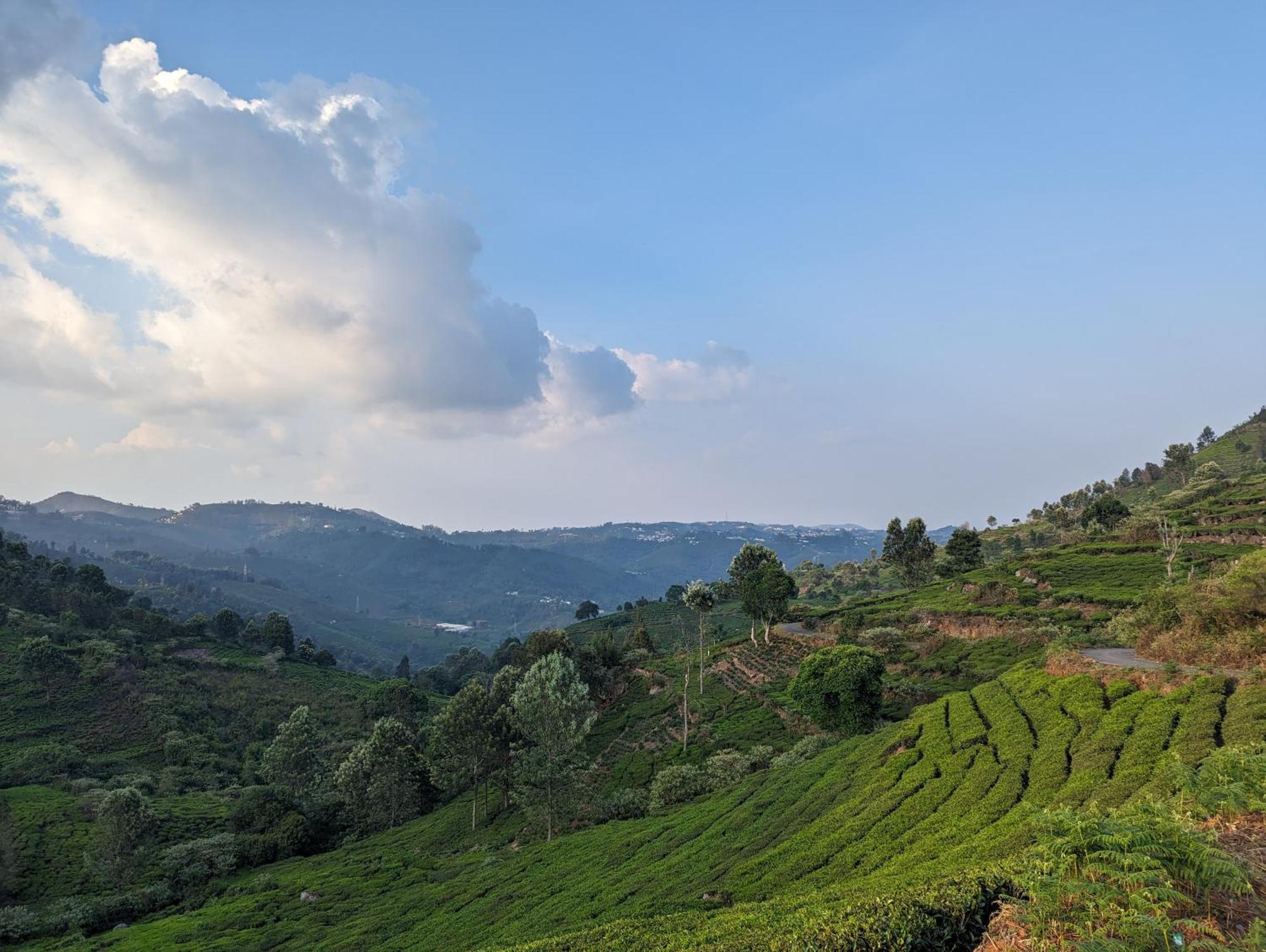 Ghar Homestay, Kotagiri Buitenkant foto