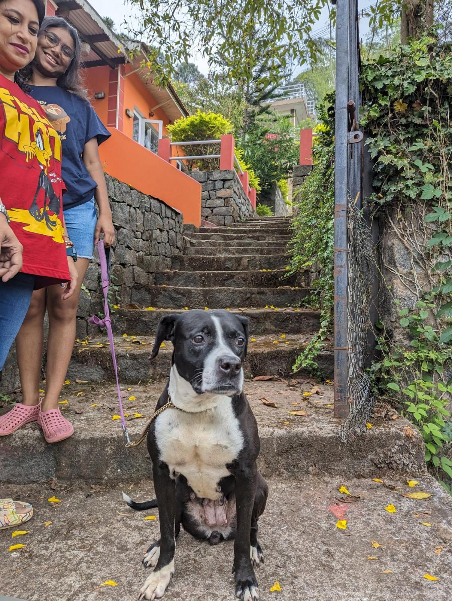 Ghar Homestay, Kotagiri Buitenkant foto