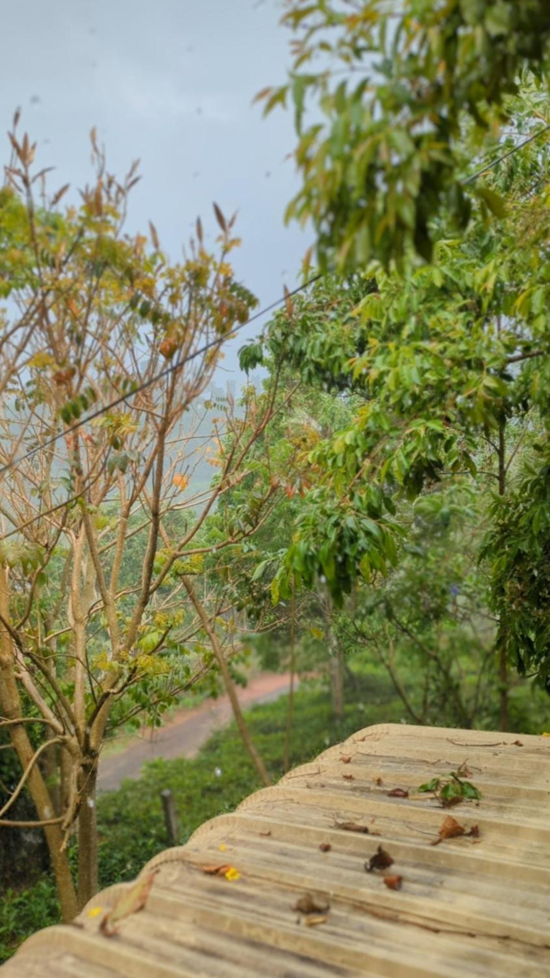 Ghar Homestay, Kotagiri Buitenkant foto
