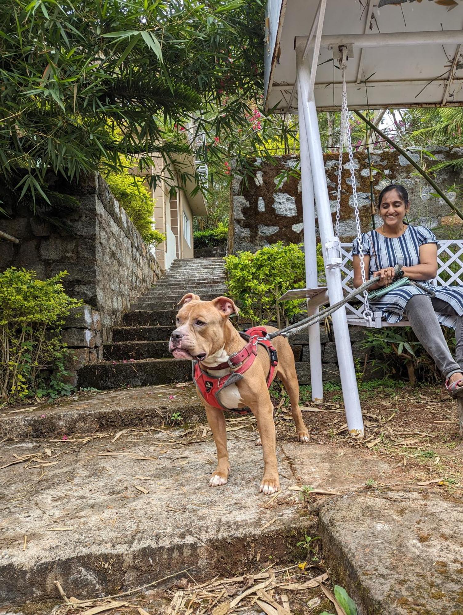 Ghar Homestay, Kotagiri Buitenkant foto