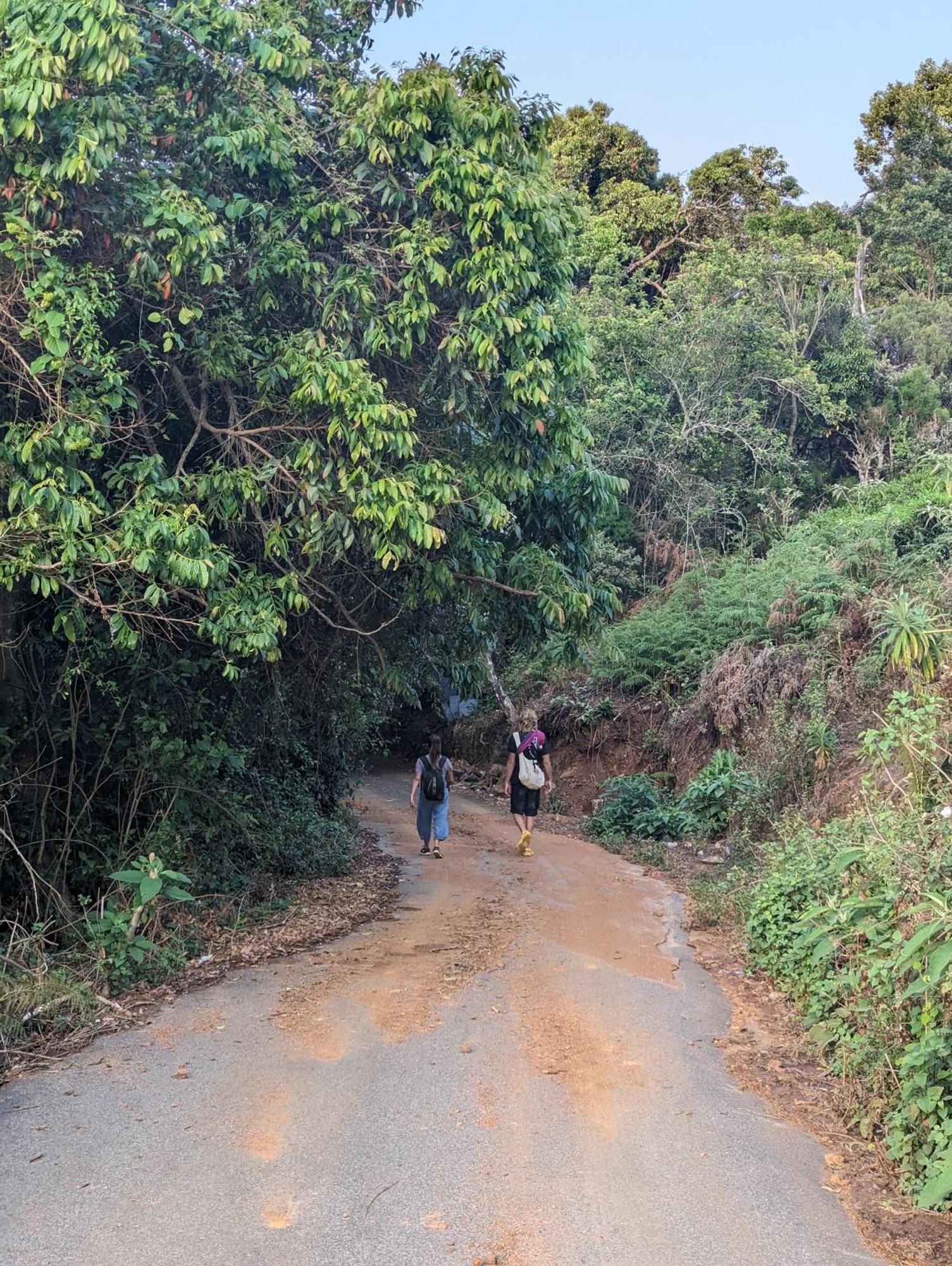 Ghar Homestay, Kotagiri Buitenkant foto