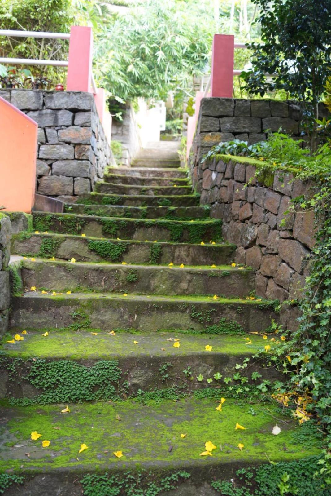 Ghar Homestay, Kotagiri Buitenkant foto